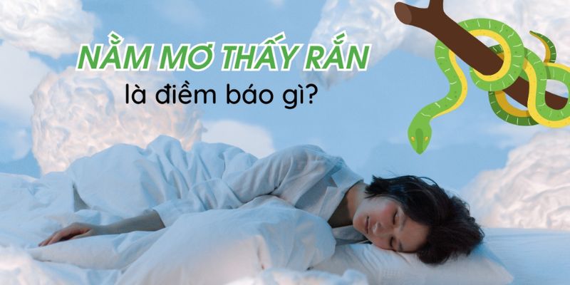 Chi tiết về ý nghĩa của giấc mơ thấy rắn dựa trên các yếu tố cơ bản
